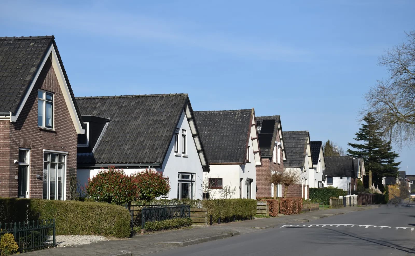 Rustige woonstraat met vrijstaande woningen